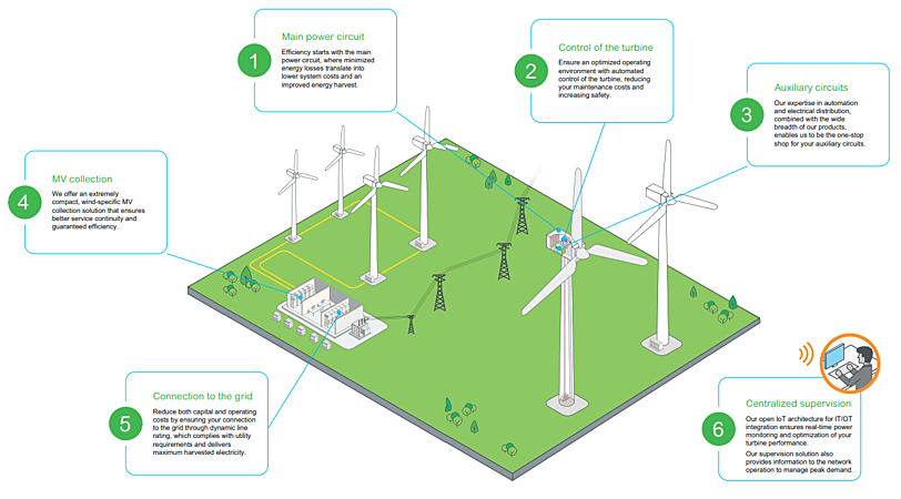 Meet Vegeta — performance with purpose