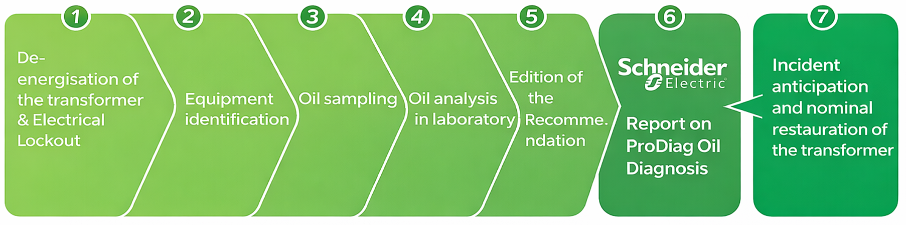 Meet Vegeta — performance with purpose